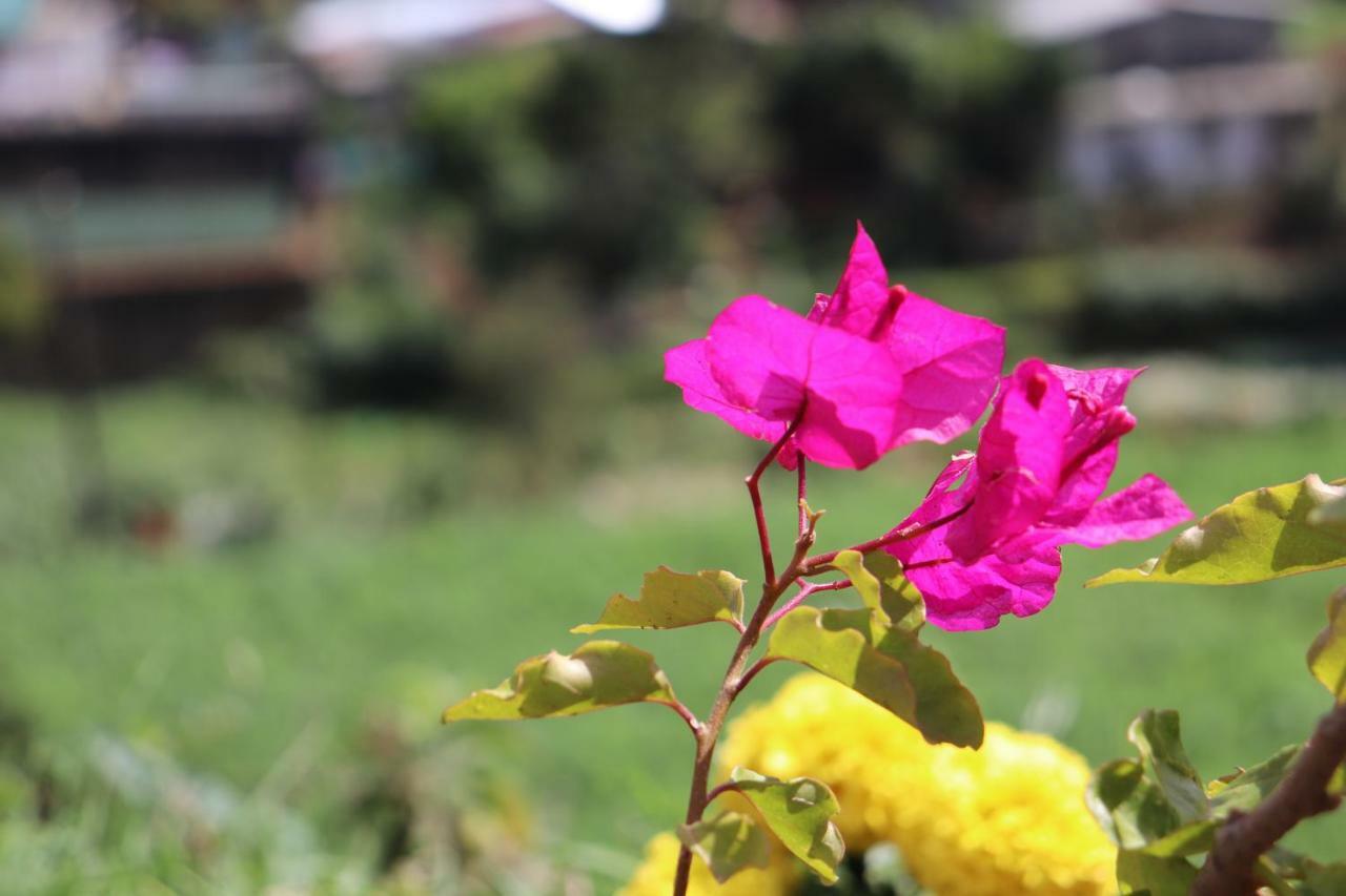 Zion White House Hotel Nuwara Eliya Exterior photo